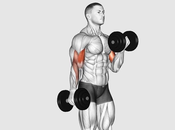 uginanie przedramion z hantlami na przemian z supinacja