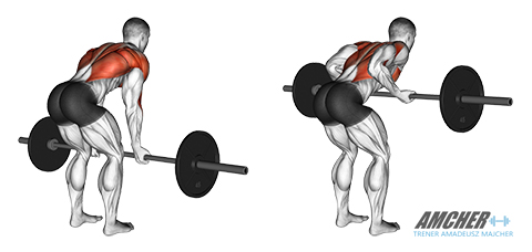 wioslowanie sztanga nachwytem podchwytem w opadzie tulowia