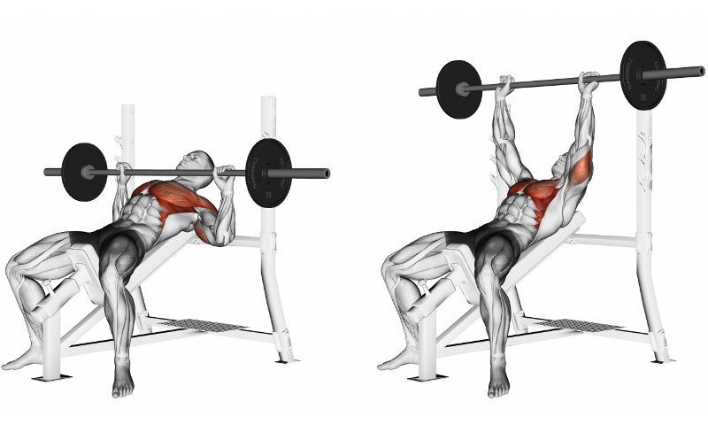 wyciskanie sztangi lezac na lawce poziomej