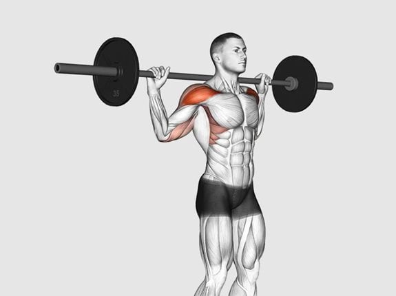 wyciskanie sztangi zza karku siedzac lub stojac