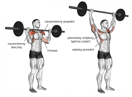 wyciskanie zolnierskie sztangi